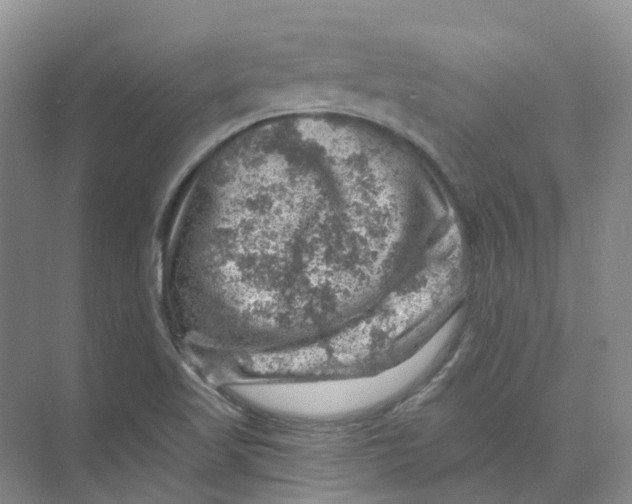 X0000074041509200609181939