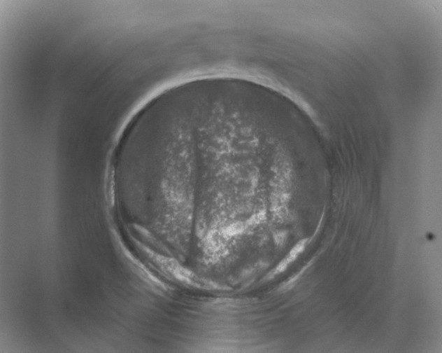 X0000074041510200609181939