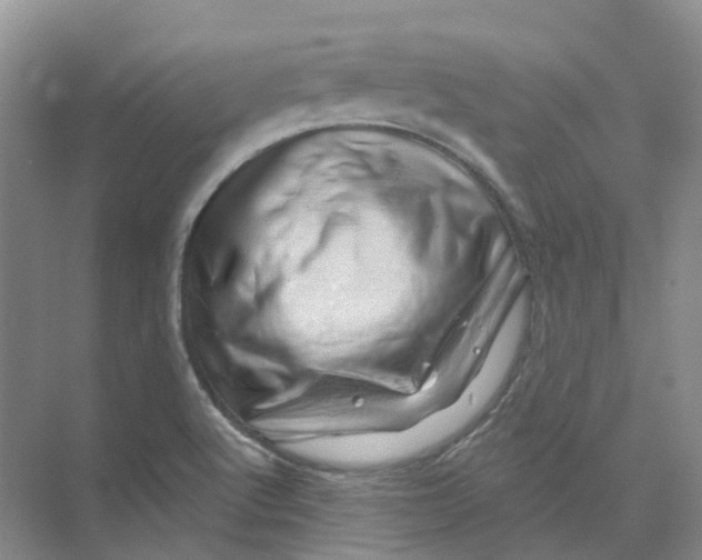 X0000074041512200609181939