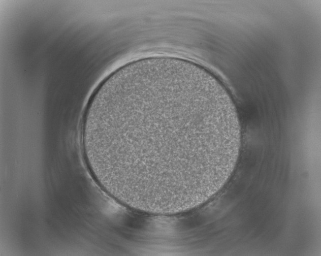 X0000074041514200609181939