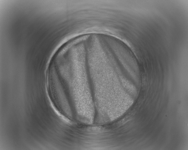 X0000074041515200609181939