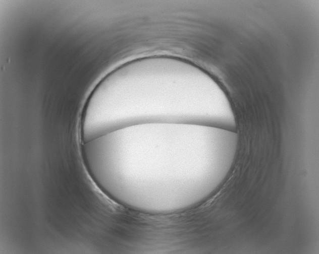 X0000074041516200609181939