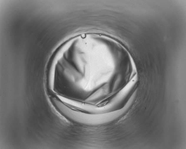 X0000074041518200609181939