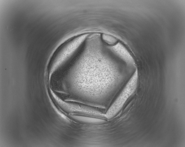 X0000074041519200609181939