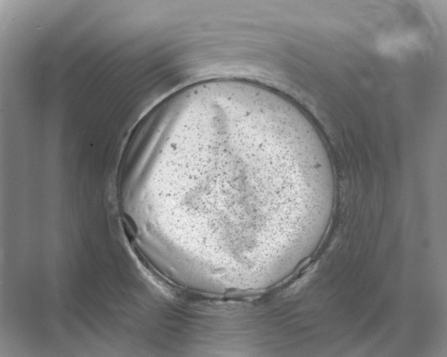 X0000074041521200609181939