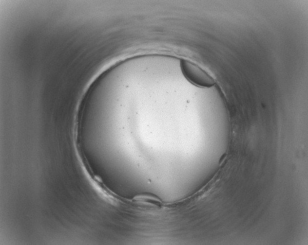 X0000074041523200609181939