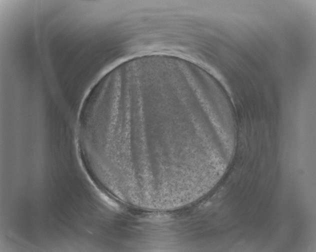 X0000074041525200609181939