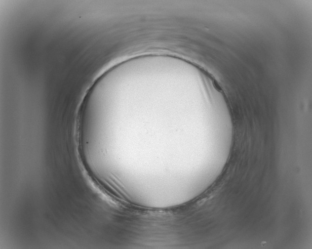 X0000074041526200609181939