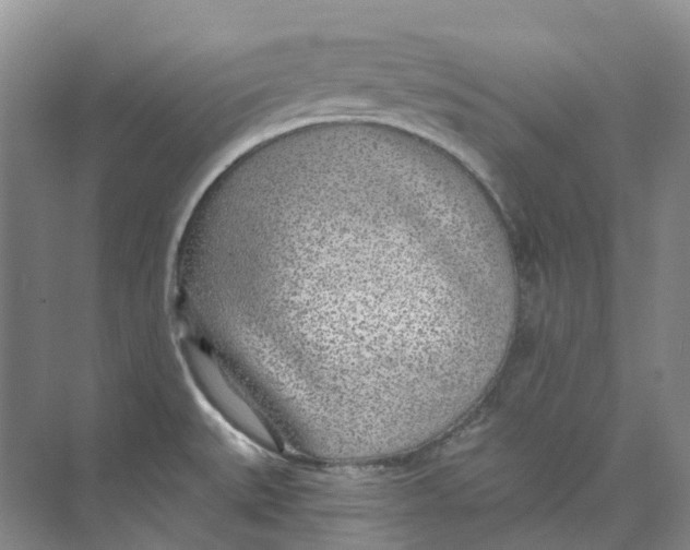 X0000074041527200609181939