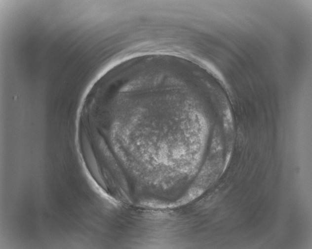 X0000074041528200609181939