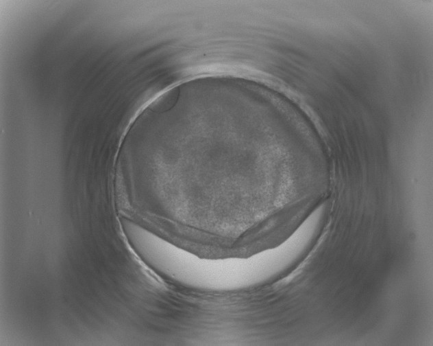 X0000074041529200609181939