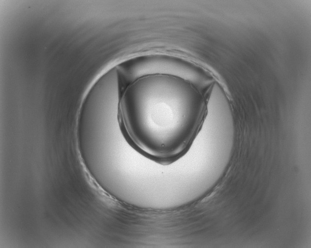 X0000074041530200609181939