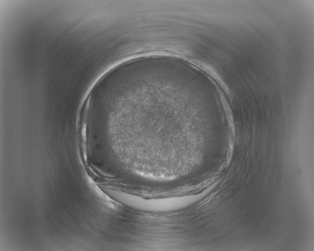 X0000074041532200609181939