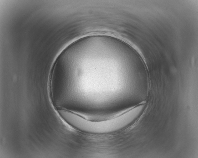 X0000074041533200609181939