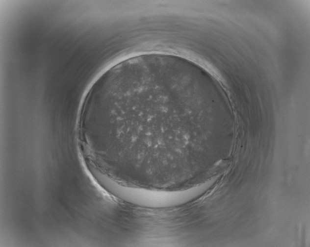 X0000074041536200609181939