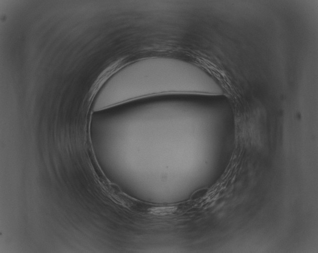 X0000074210051200608250748