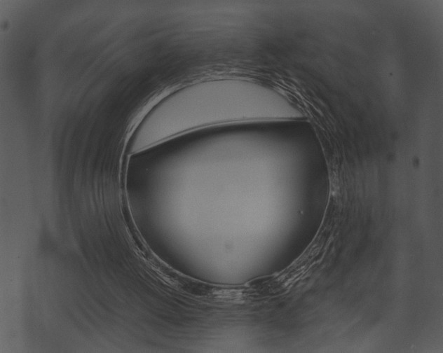 X0000074210052200608250748