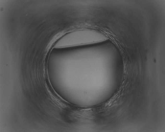 X0000074210054200608250748