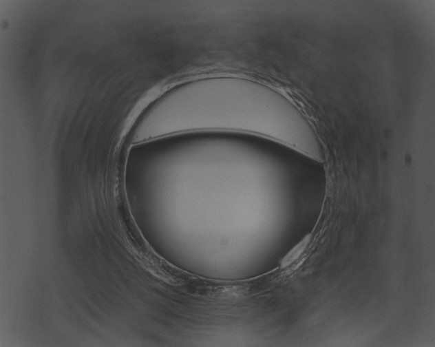 X0000074210056200608250748