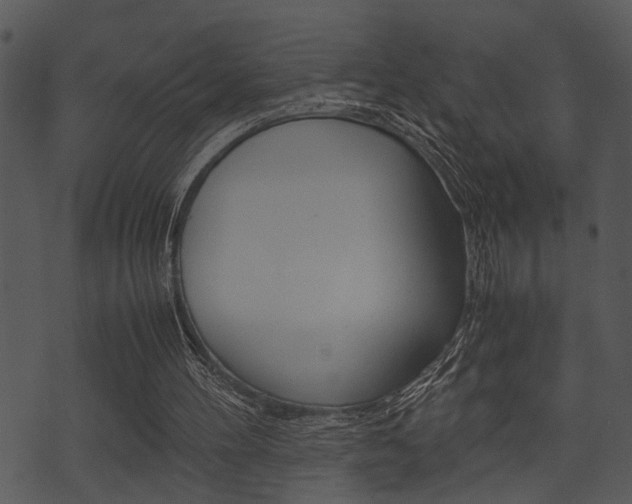 X0000074210100200608250748