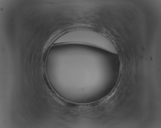 X0000074210101200608250748