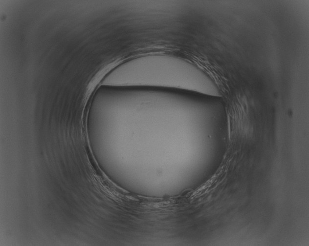 X0000074210147200608250746