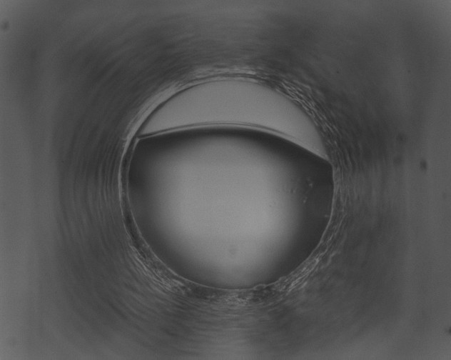 X0000074210148200608250747