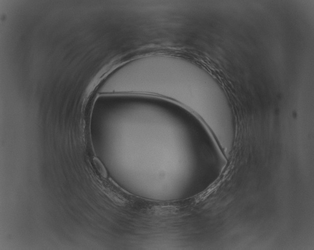 X0000074210150200608250747