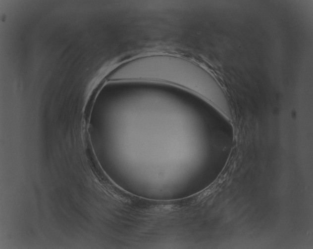 X0000074210152200608250747