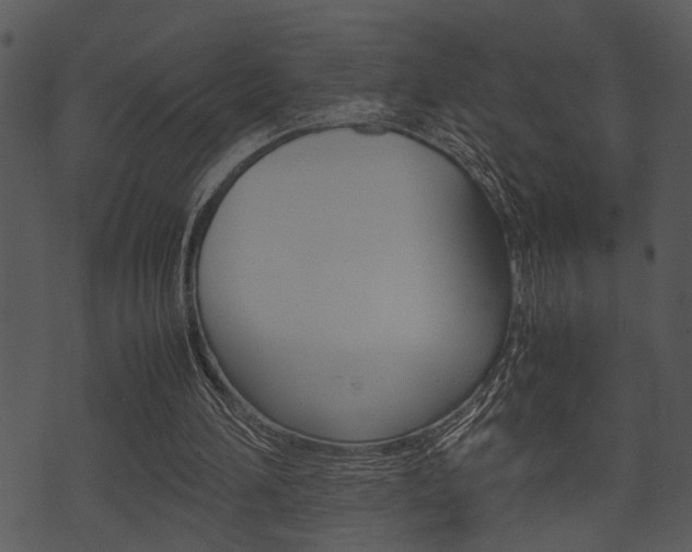 X0000074210196200608250746