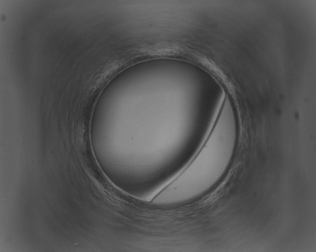X0000074210201200608250746