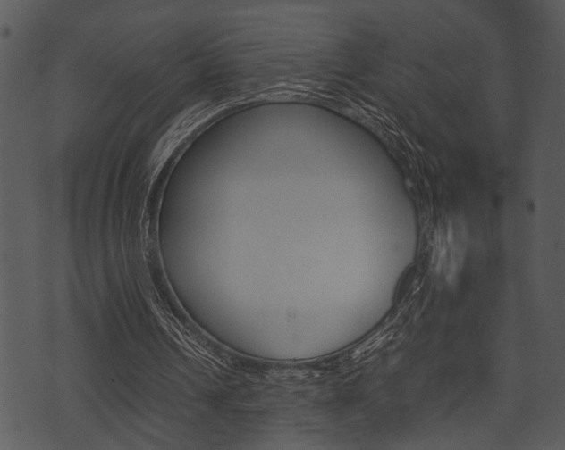 X0000074210242200608250745