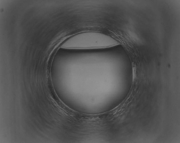 X0000074210243200608250745