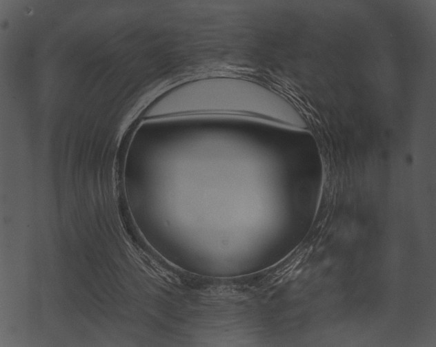 X0000074210244200608250745
