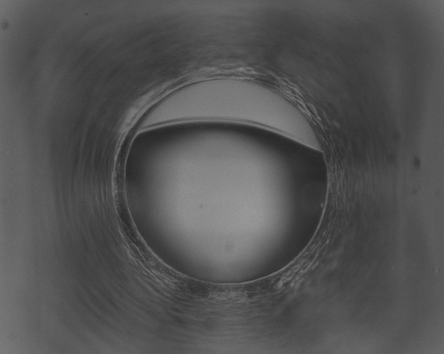 X0000074210340200608250743