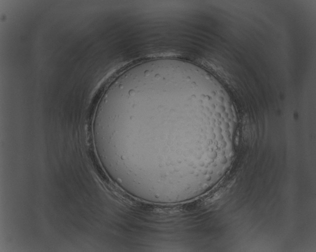 X0000074210351200608250744