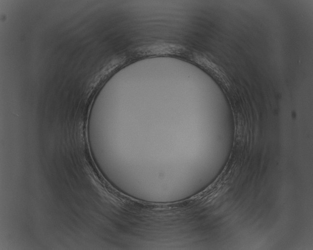 X0000074210394200608250743
