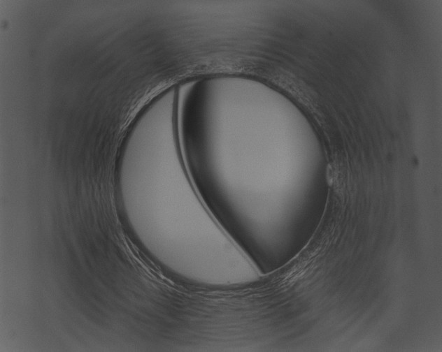 X0000074210434200608250742