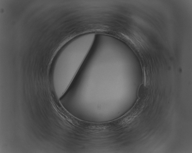 X0000074210435200608250742