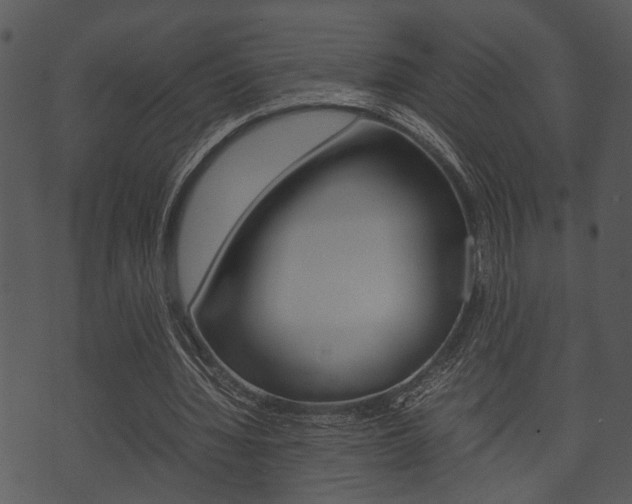 X0000074210436200608250742