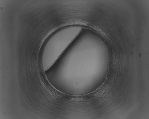 X0000074210440200608250742