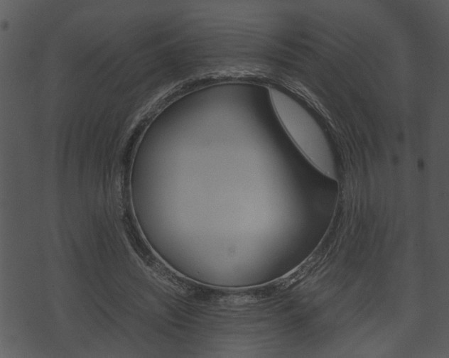 X0000074210444200608250742