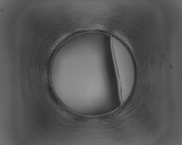 X0000074210483200608250742
