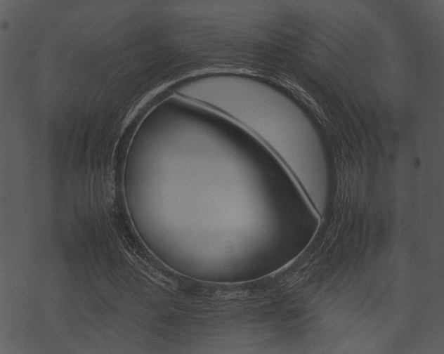 X0000074210484200608250742