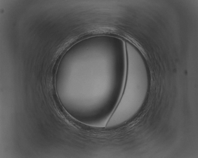 X0000074210485200608250742