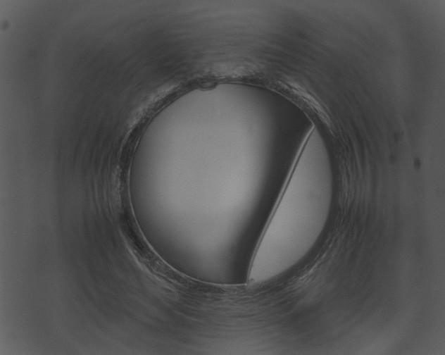 X0000074210492200608250742