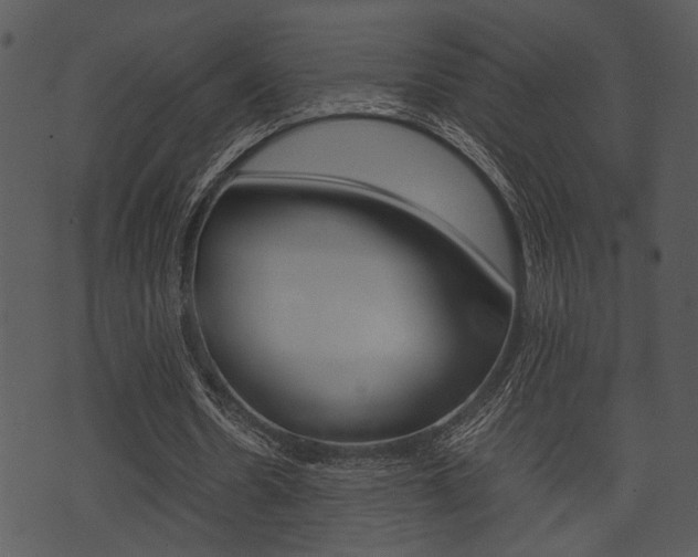 X0000074210530200608250740