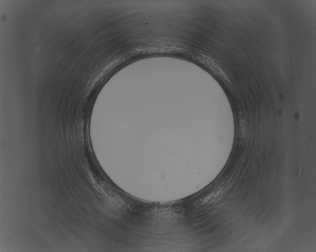 X0000074210534200608250740