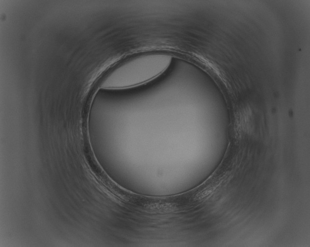 X0000074210535200608250740