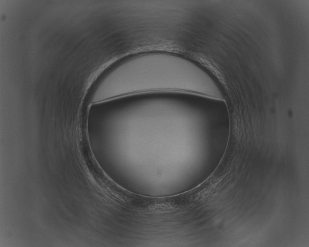 X0000074210536200608250740